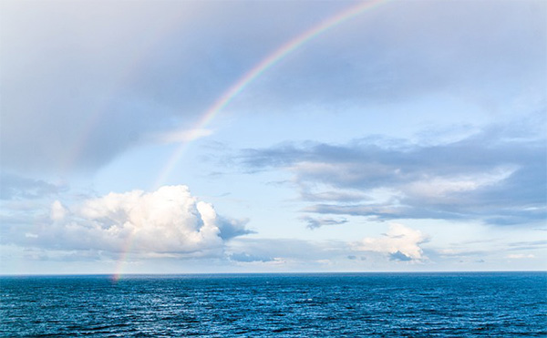 海洋 海洋